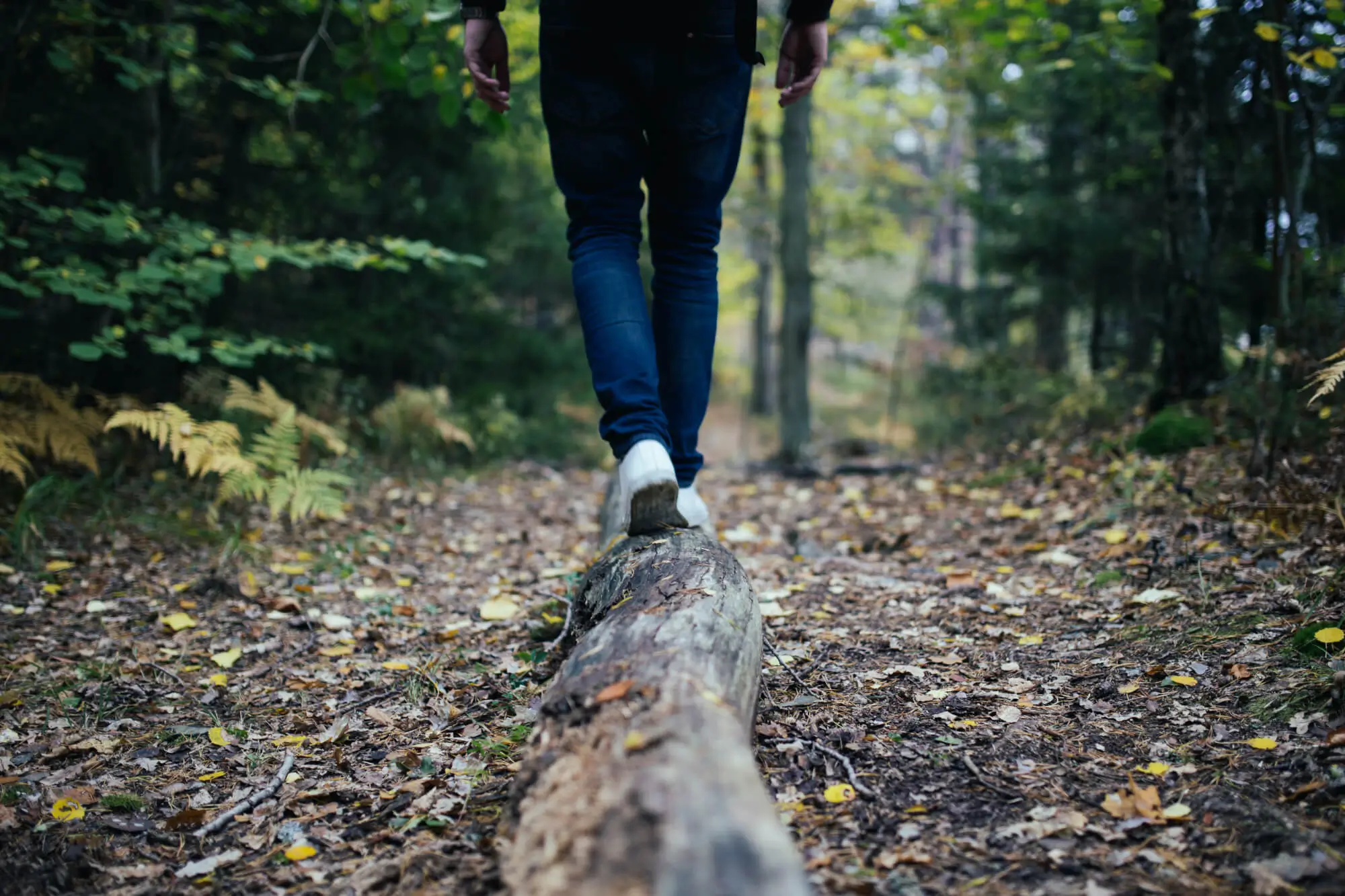 Person walking on log in the woods